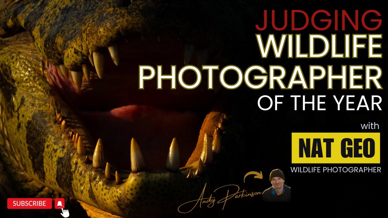JUDGING WILDLIFE PHOTOGRAPHER of the YEAR - an insight with Andy Parkinson, NAT GEO Photographer
