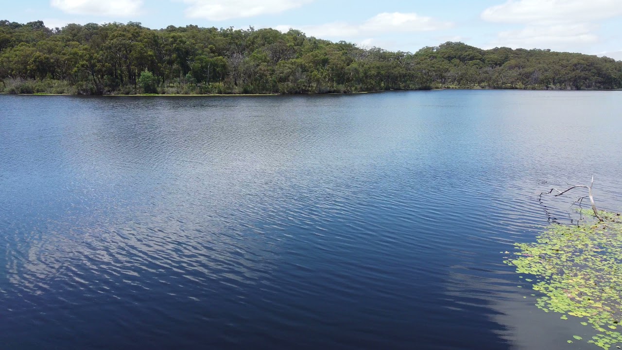 Aura vale lake - cardinia