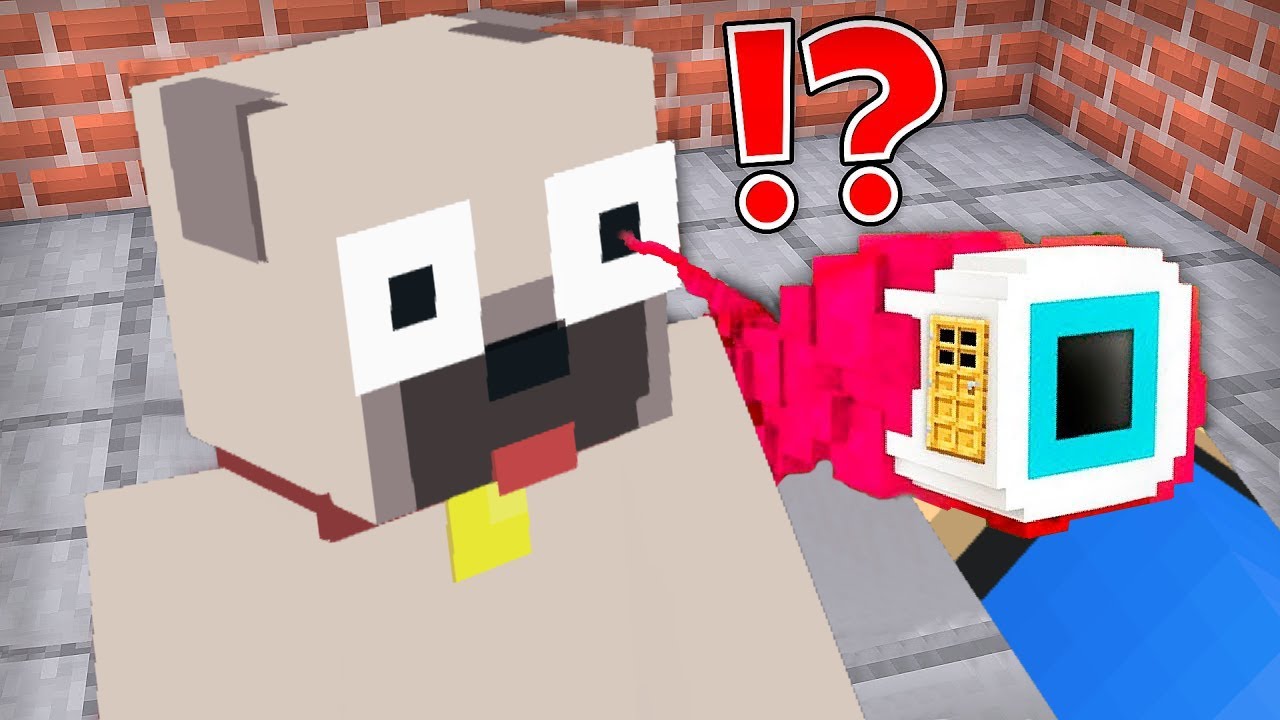 DANI REJTETT B&Aacute;ZISA KIIS SZEM&Eacute;BEN A MINECRAFTBAN!
