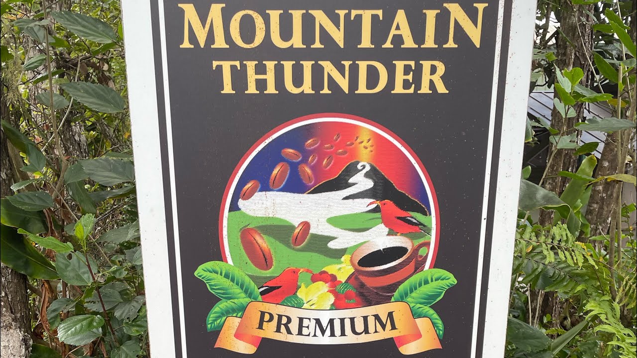 Kona Coffee Plantation Tour - Big Island Hawaii