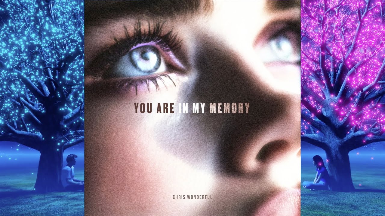 Chris Wonderful - You are in My Memory.