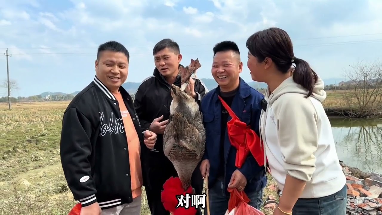 送媒公礼，拉着一头猪，挑着两只鹅，海哥一脸惊讶！#海哥量地球