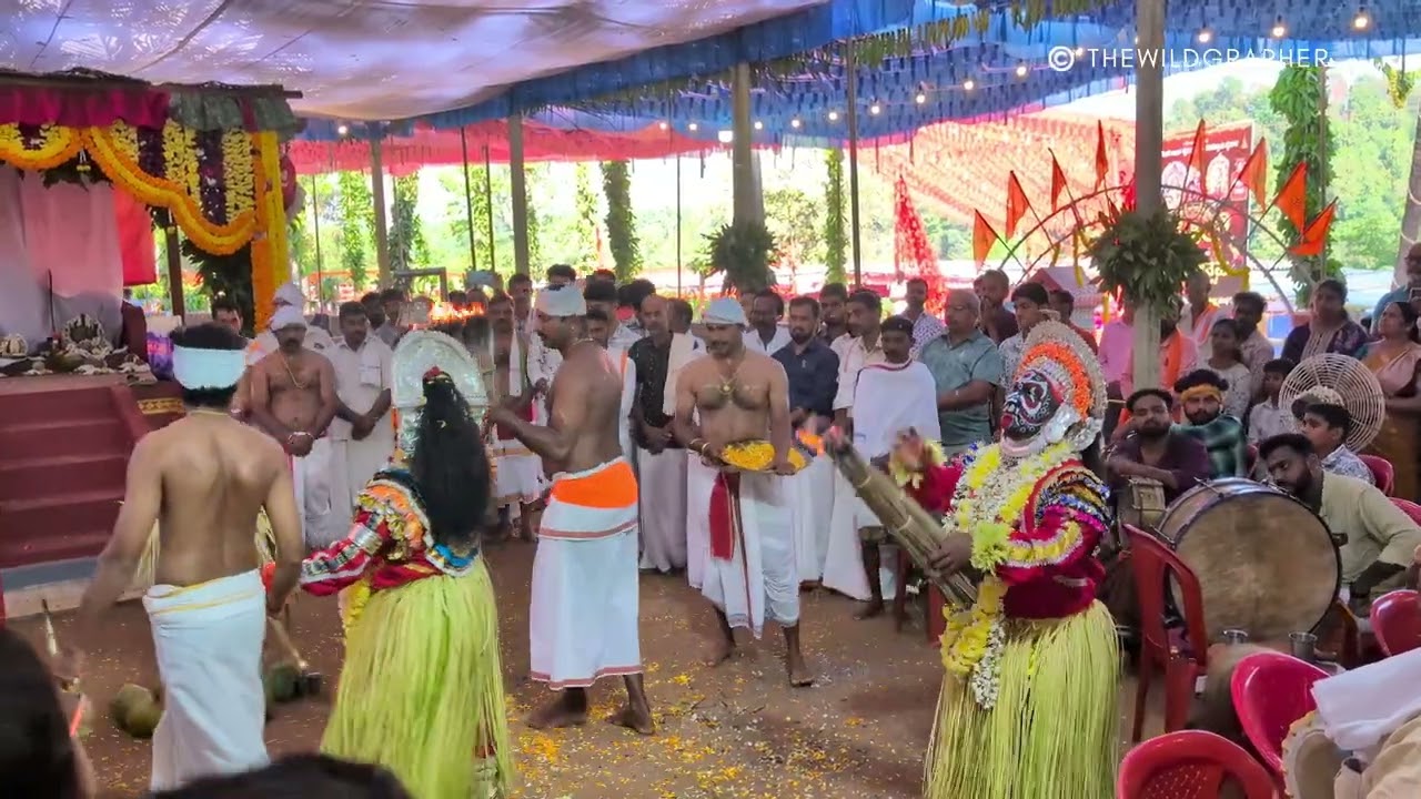 Daipila Nemothsava 2026 | Shiradi Rajen Daiva & Kodamanithaiya | Divine Ritual of Tulunadu