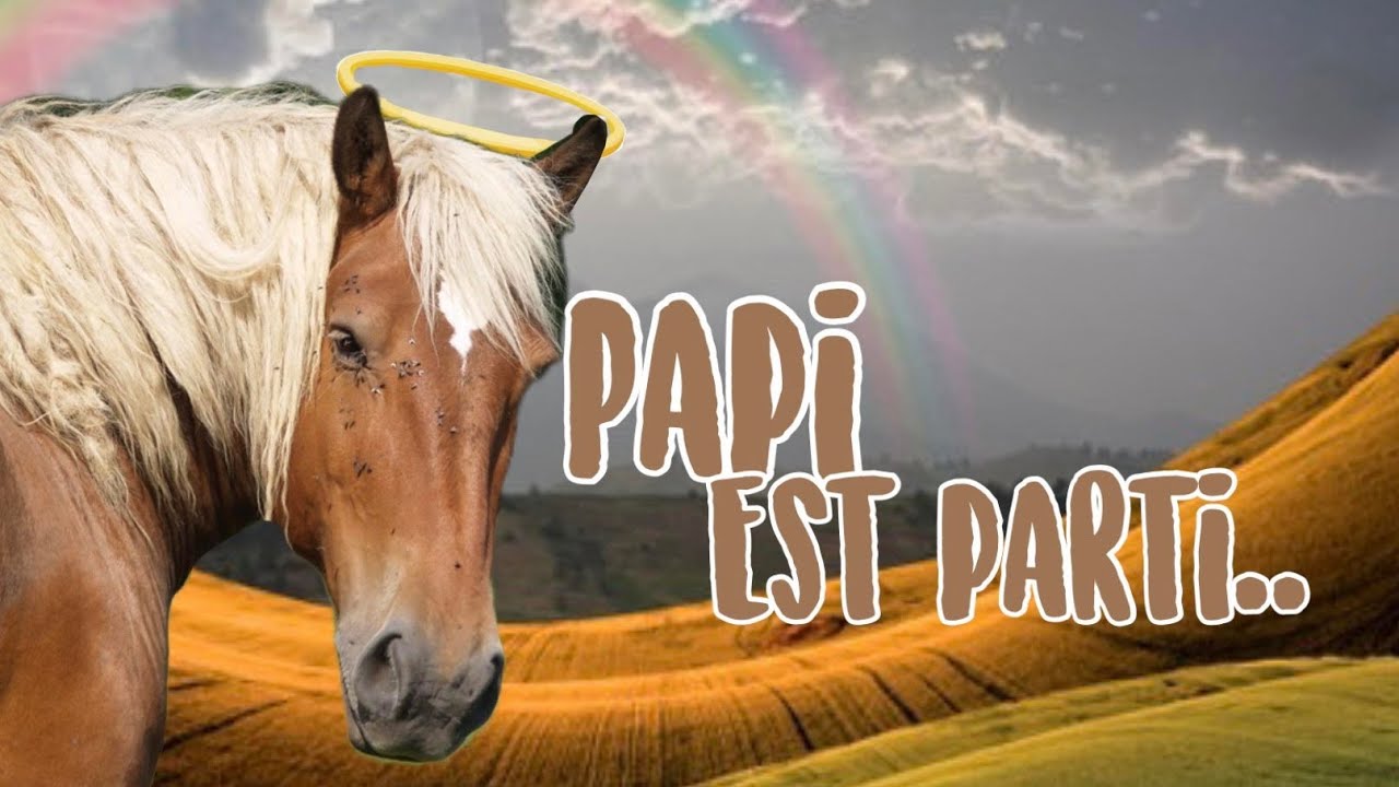 PAPI EST PARTI REJOINDRE LES ÉTOILES..