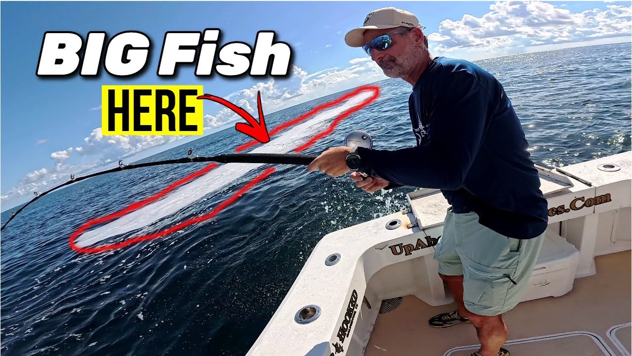 Spring Offshore Fishing is HEATING UP! Cobia Strike at the Weed Line | Gulf of Mexico