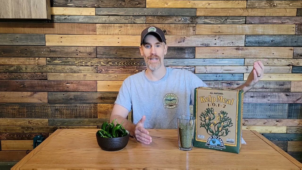 Kelp Meal. Increase your yields and support good soil and plant health. 🌶🥦💪