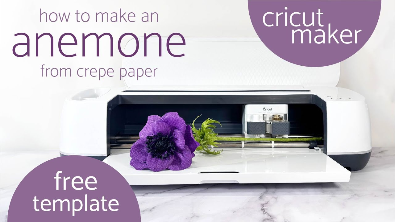 Красивые бумажные цветы анемоны | Урок по работе с Cricut
