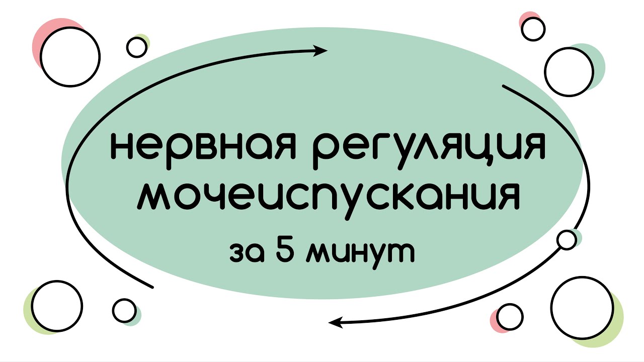 BioFamily: Регуляция мочеиспускания за 5 минут