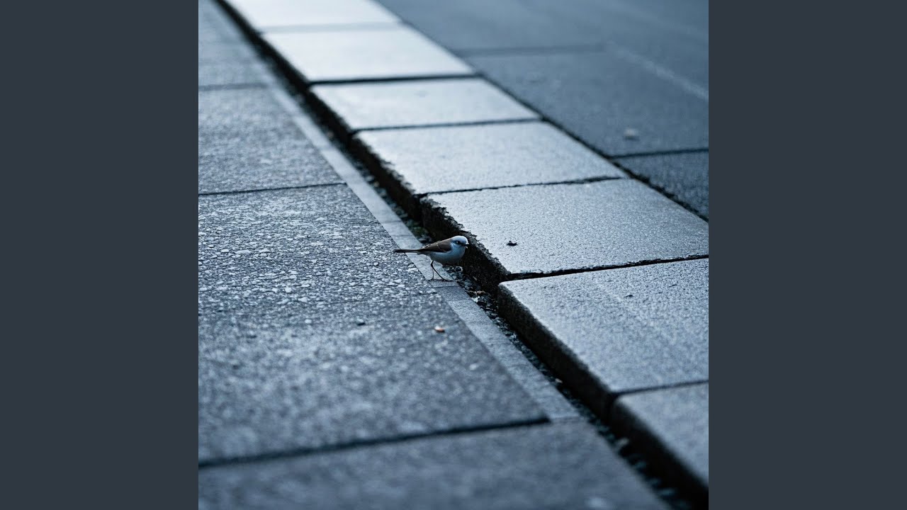 Pavement Holds Its Secrets