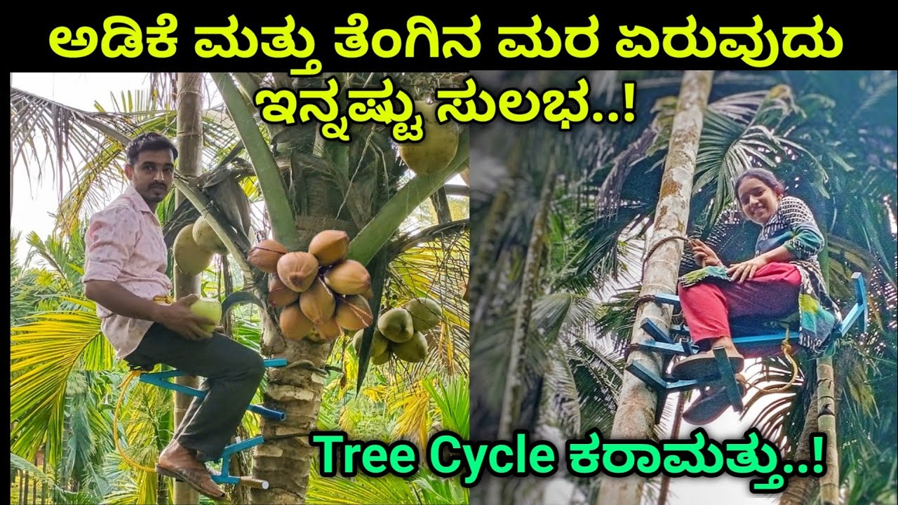 ಅಡಿಕೆ ಮತ್ತು ತೆಂಗಿನ ಮರವನ್ನು ಎಲ್ಲರೂ ಸುಲಭವಾಗಿ ಹತ್ತಬಹುದು. Tree cycle for Areca & coconut climbing.