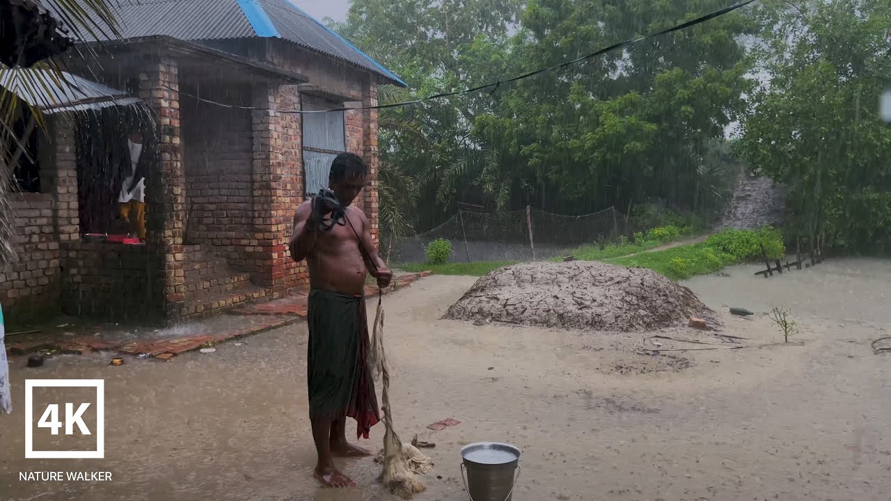 Walking in the heavy rain on village | Village rain | Fish catching in village rain  | Village life