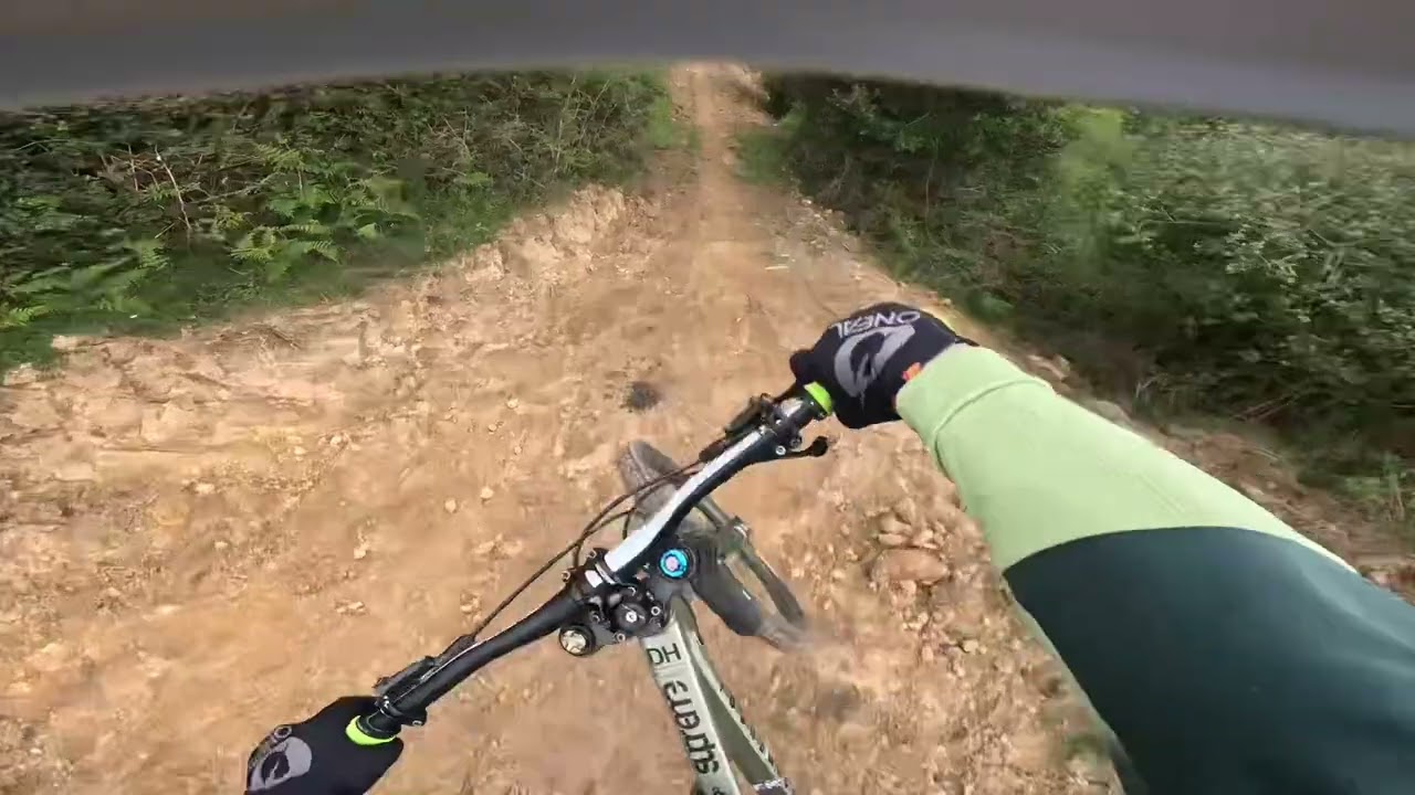 LA REINETA DH 2025