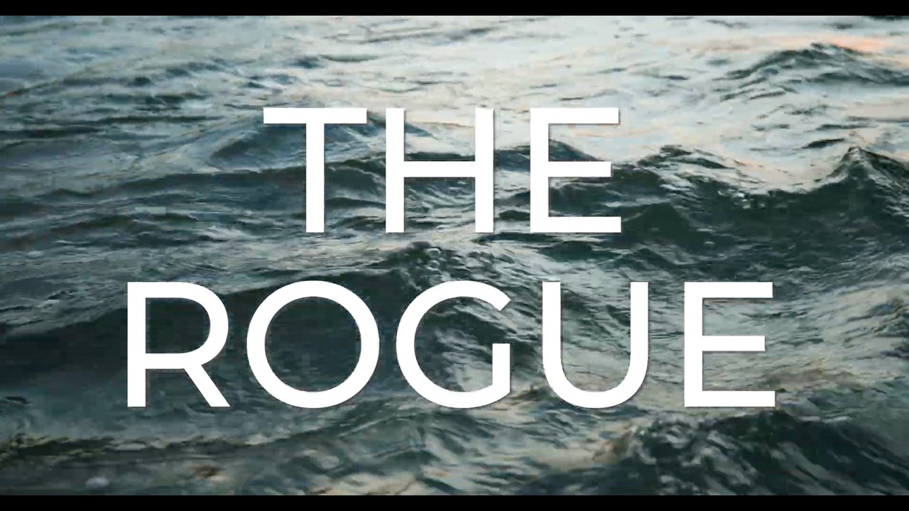 We Are Rogue Valley: The Rogue