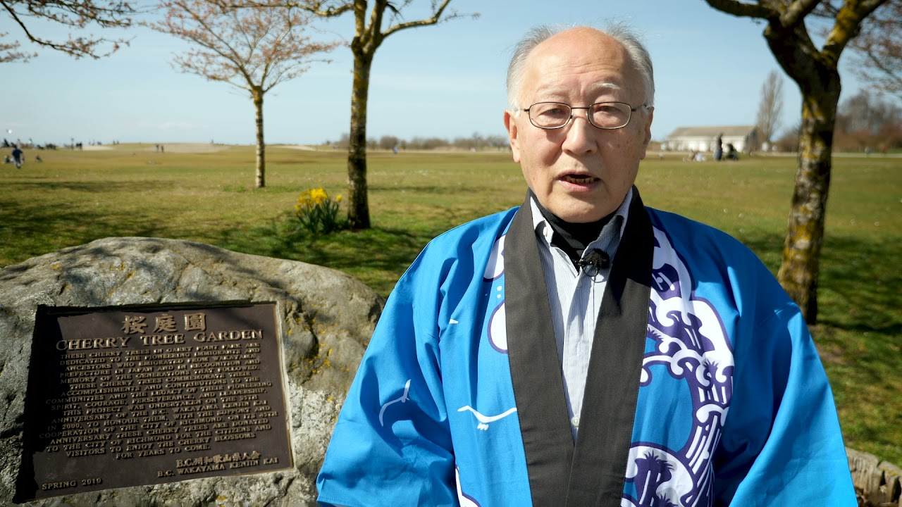 Richmond Cherry Blossom Festival 2021: A Brief History of the Cherry Trees in Garry Point Park