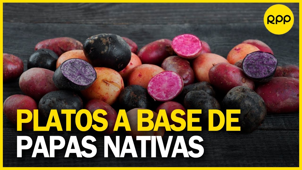 Día Internacional de la Papa: Platos nutritivos a base de papas nativas