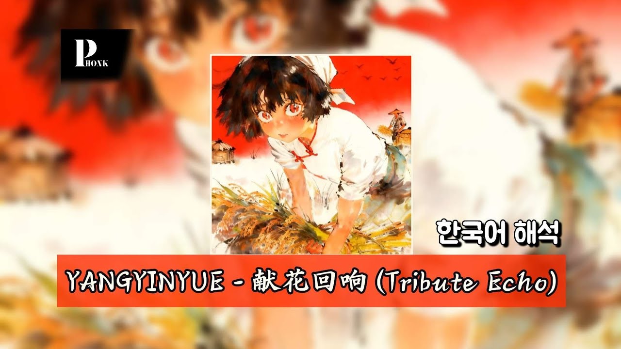 민요 감성 중국어 펑크 | YANGYINYUE - 献花回响 (Tribute Echo) | 한국어 가사 해석
