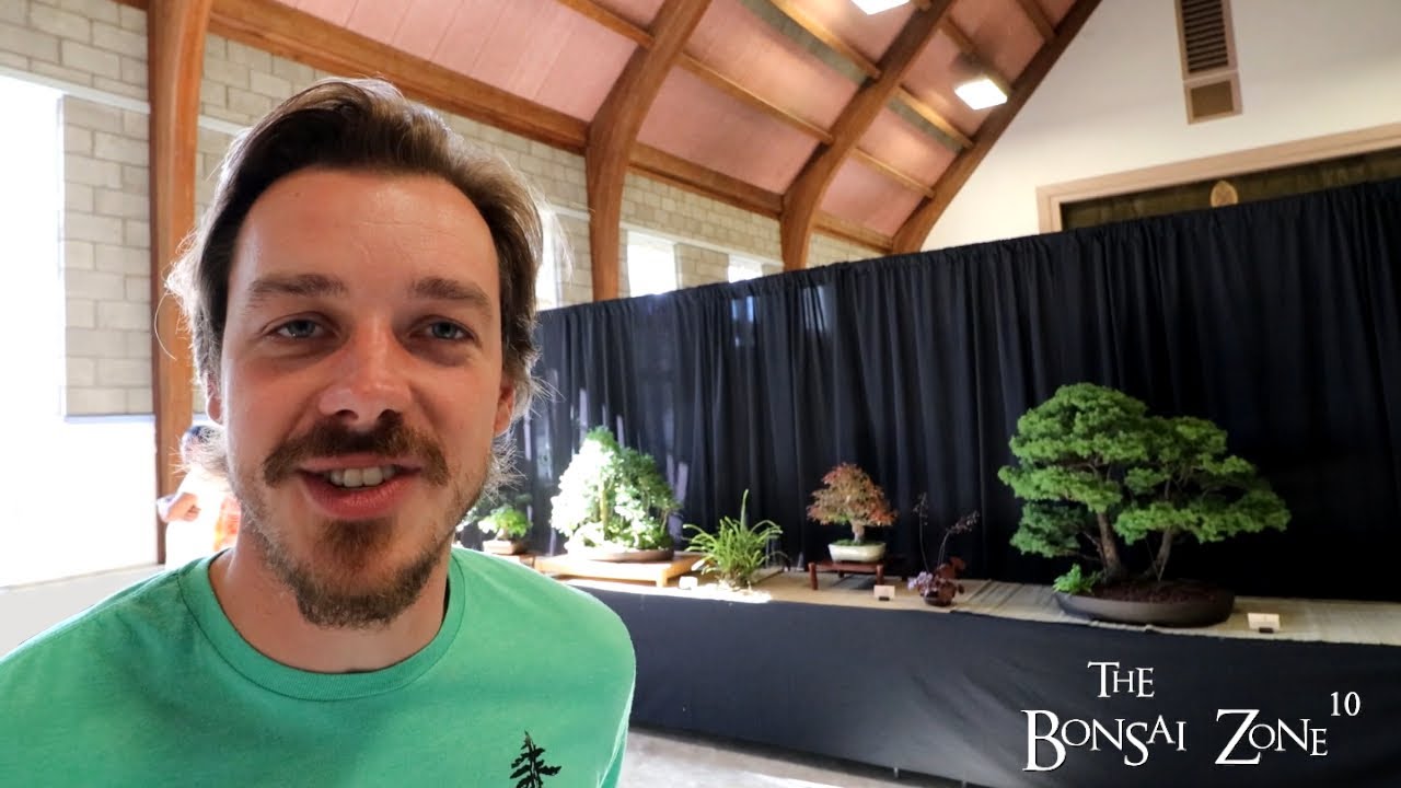 The 2023 KW Bonsai Society Fall Show, The Bonsai Zone, Sept 2023