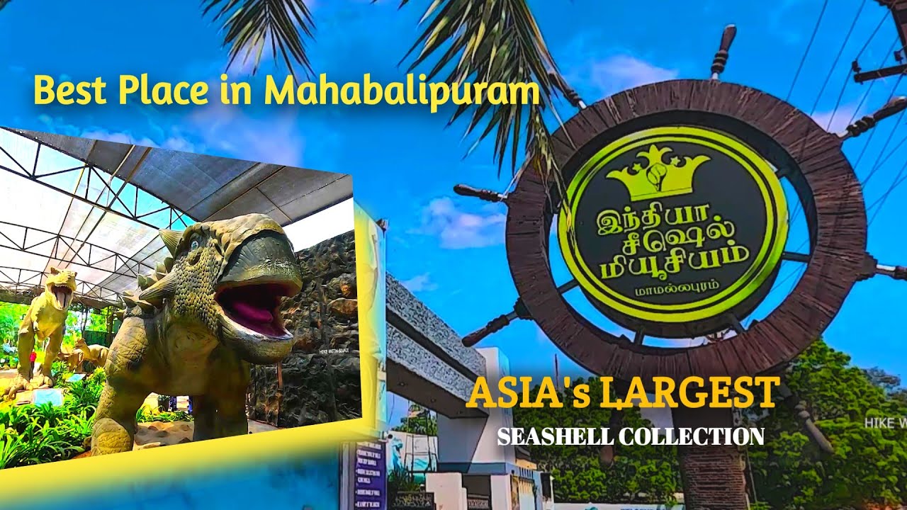 சீஷெல் மியூசியம் | India Seashell Museum at Mahabalipuram | tourist places in chennai #mahabalipuram