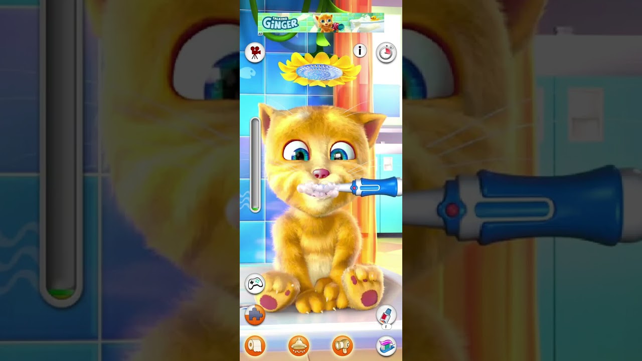 Talking Tom Cat Funny Gameplay