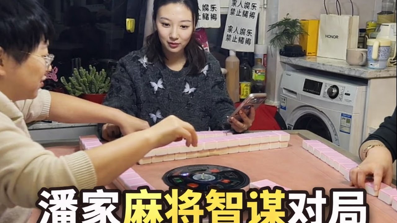 潘家麻将智谋对局