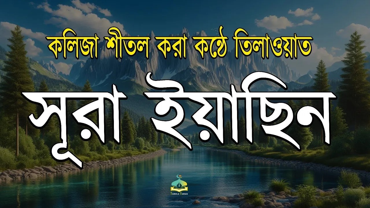 প্রতিদিন সকালে শুনুন সূরা ইয়াসিন কলিজা শীতল করা কন্ঠে তেলাওয়াত l Surah Yaseen