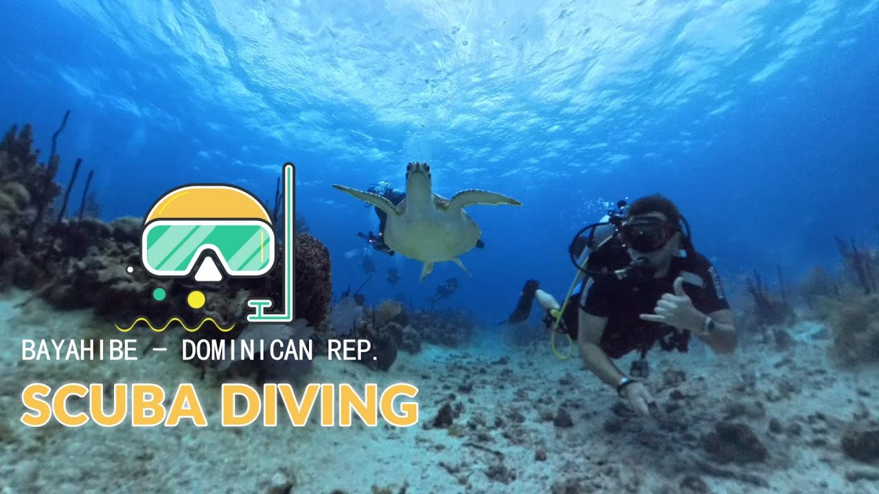 SCUBA DIVING - BAYAHIBE (04.2025)