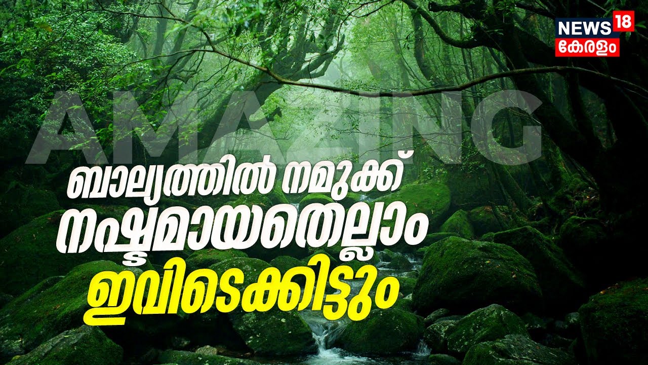 ബാല്യത്തിൽ നമുക്ക് നഷ്ടമായതെല്ലാം ഇവിടെക്കിട്ടും, Trivandrum Miyawaki Forest | Amazing walk-through