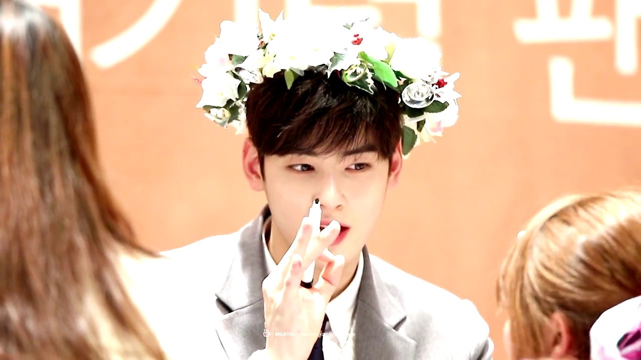 161210 인천 팬싸인회 차은우 (MBC 설특집 오빠생각 입덕영상)