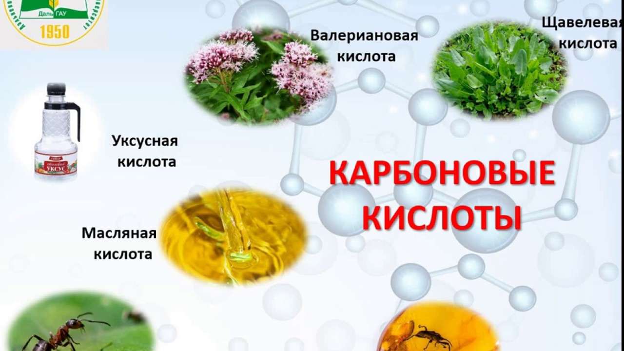 Карбоновые кислоты