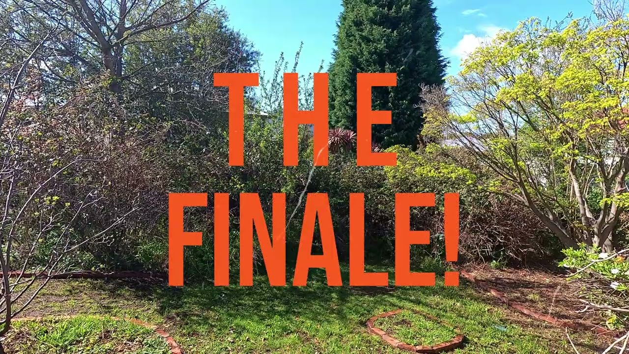 You won't believe this garden after 140 hours of work!