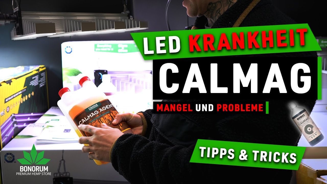 LED Krankheit und CalMag Mangel: So löst du das Problem – Freds Tipps und Strategien!