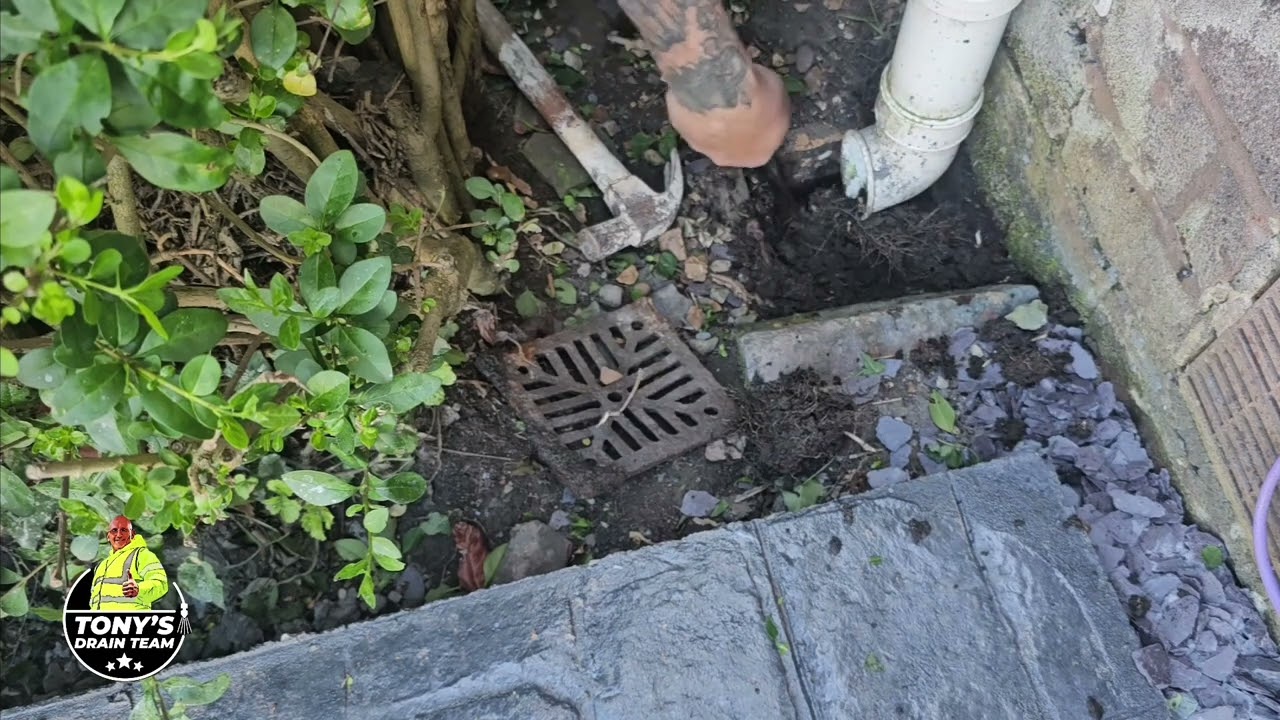 Blocked drain. Grid dweller.