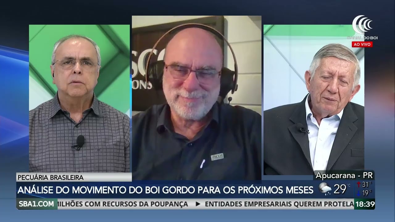 Demanda elevada eleva preços da arroba do boi gordo em janeiro e fevereiro