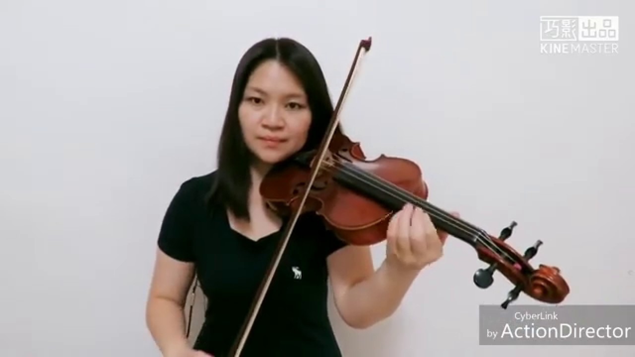 Rihanna - Umbrella ft. JAY-Z(Violin Cover)