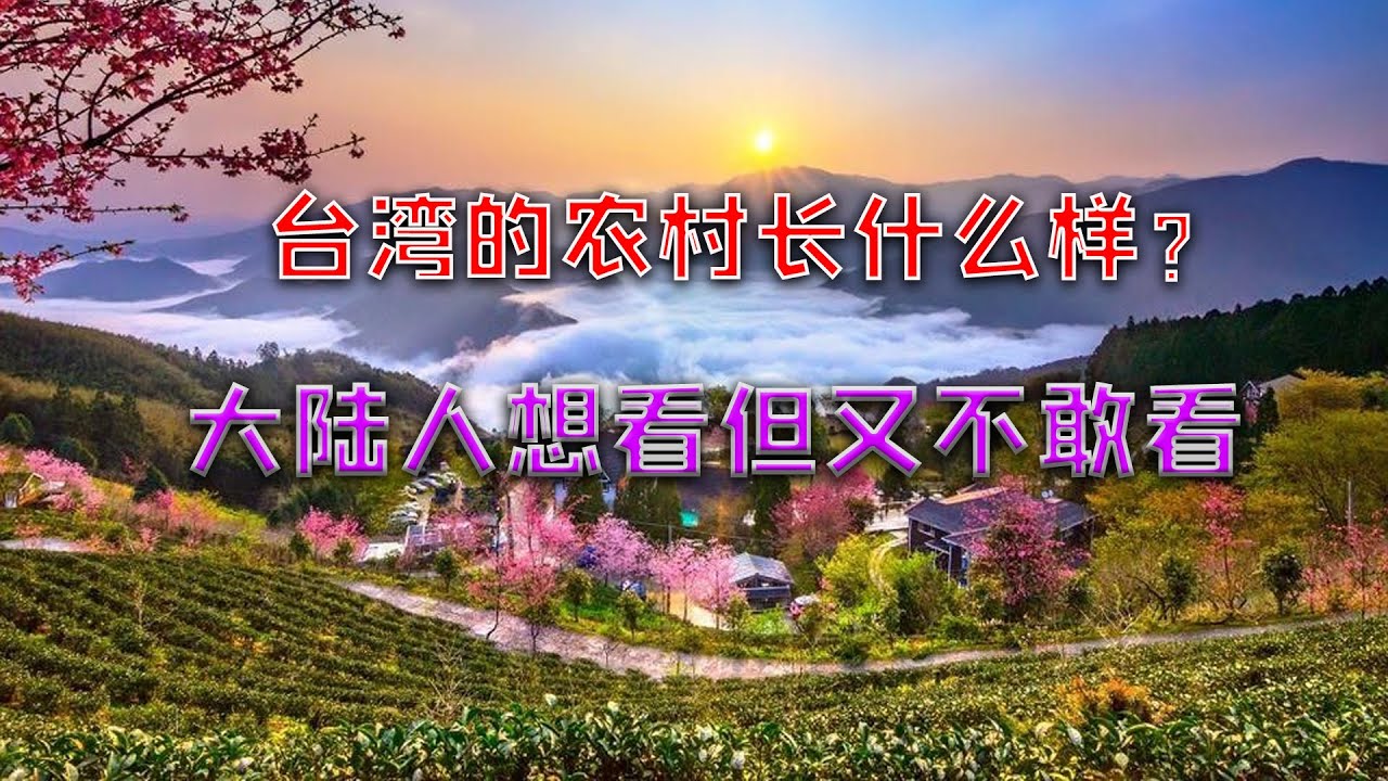 【游侠小周】台湾的农村长什么样？大陆人想看但又不敢看，伤人太深