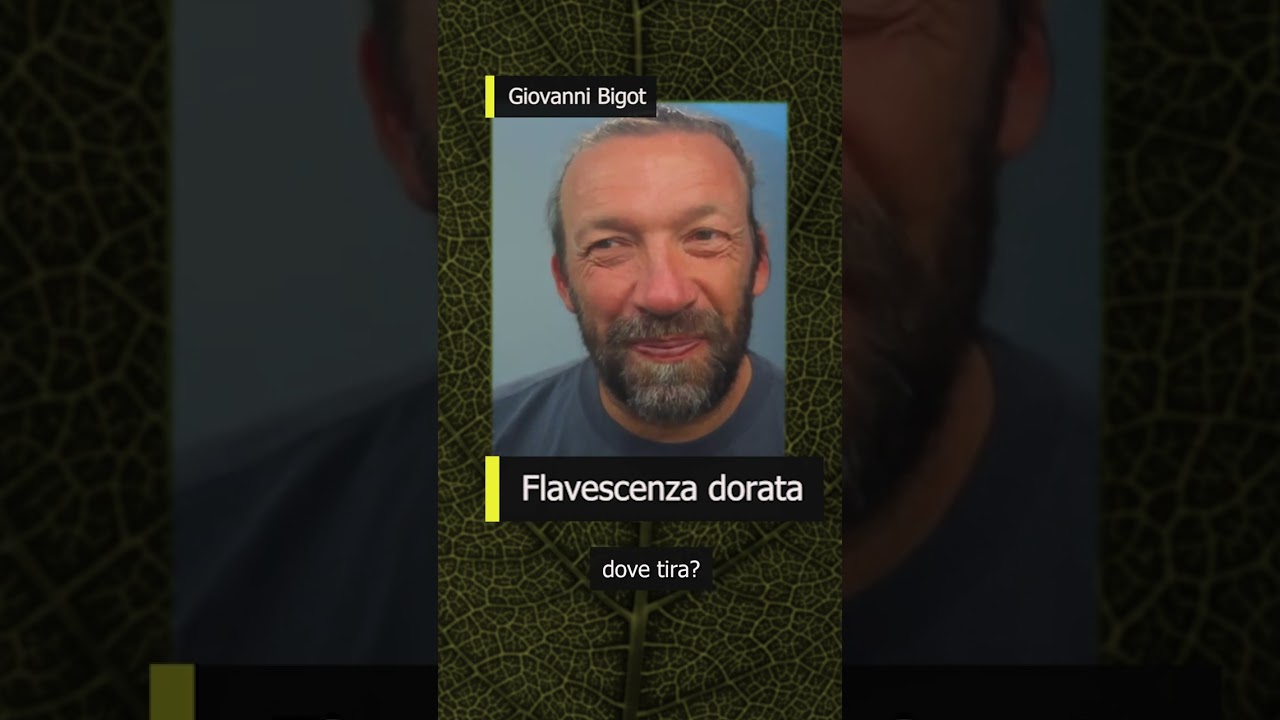 Monitoraggio e campionamento della forma mobile di 𝑺𝒄𝒂𝒑𝒉𝒐𝒊𝒅𝒆𝒖𝒔 𝒕𝒊𝒕𝒂𝒏𝒖𝒔