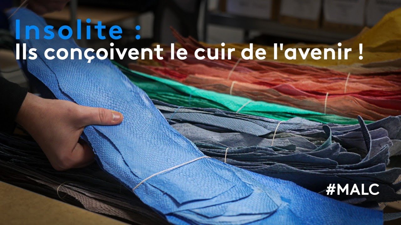 Insolite : ils conçoivent le cuir de l'avenir !