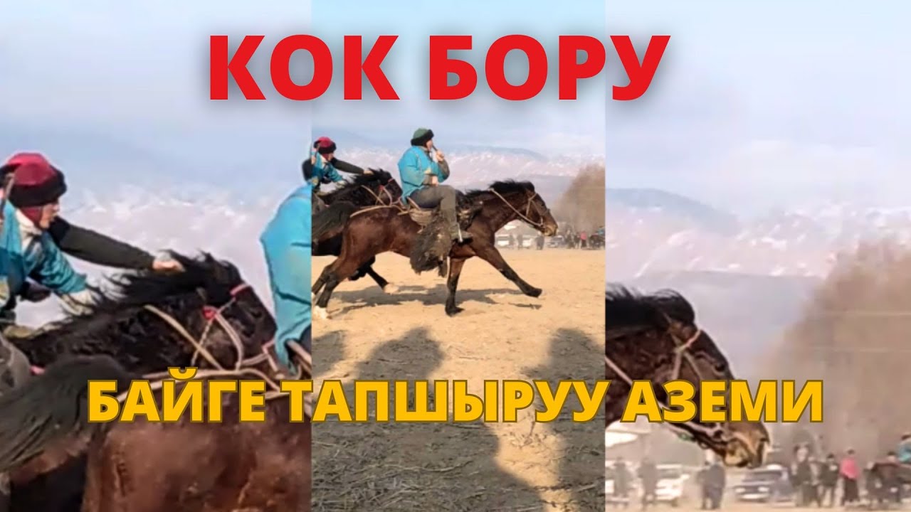 ТОКТОГУЛ\\КОК БОРУ 02.01.25