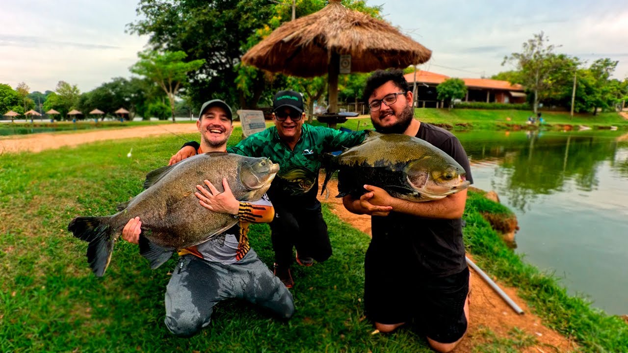 ACHAMOS A ISCA QUE SELECIONA OS GIGANTES NO TAMBURY!