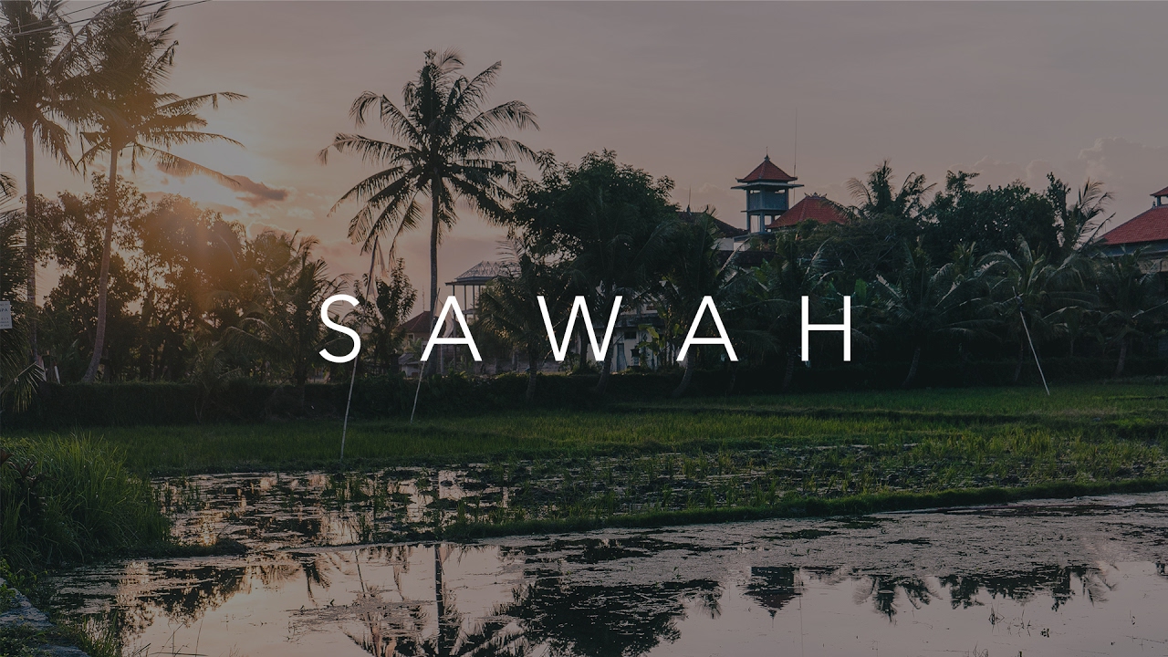 Sawah  | Bali Farmers Fighting The Tourism Industry