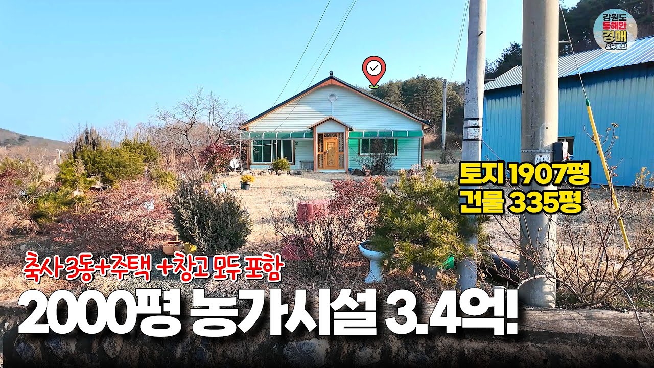 삼척시 근덕면 1907평 농가시설 경매 물건 분석