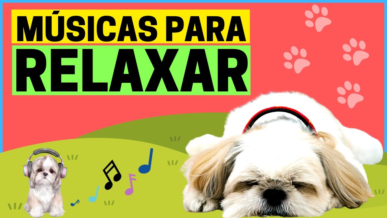 🎵Música para ACALMAR CACHORRO 😴((MÚSICA PARA SHIH TZU))Música para cachorro Shih Tzu DORMIR