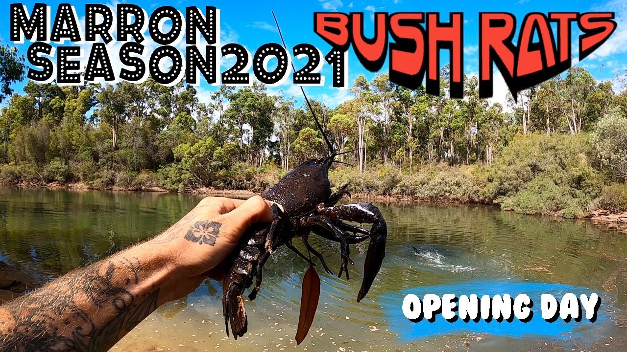 Marron Season 2021 | Opening Day