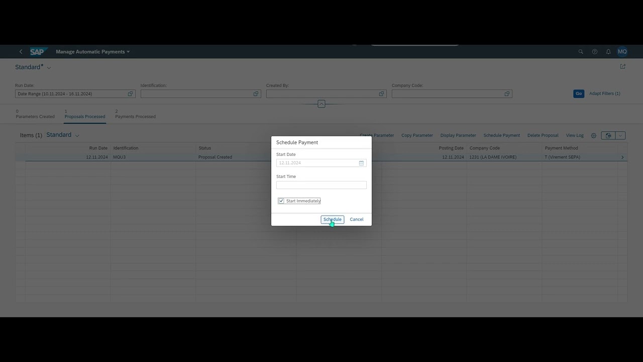 Manage automatic payments in SAP FIORI F110
