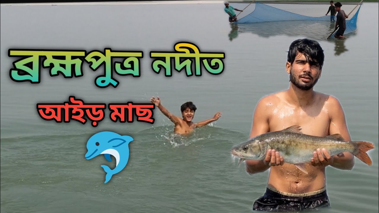 ব্ৰহ্মপুত্ৰত আইড় মাছ 🦈| daily vlog video | vlog video Bangla | river side vlog video | village vlog