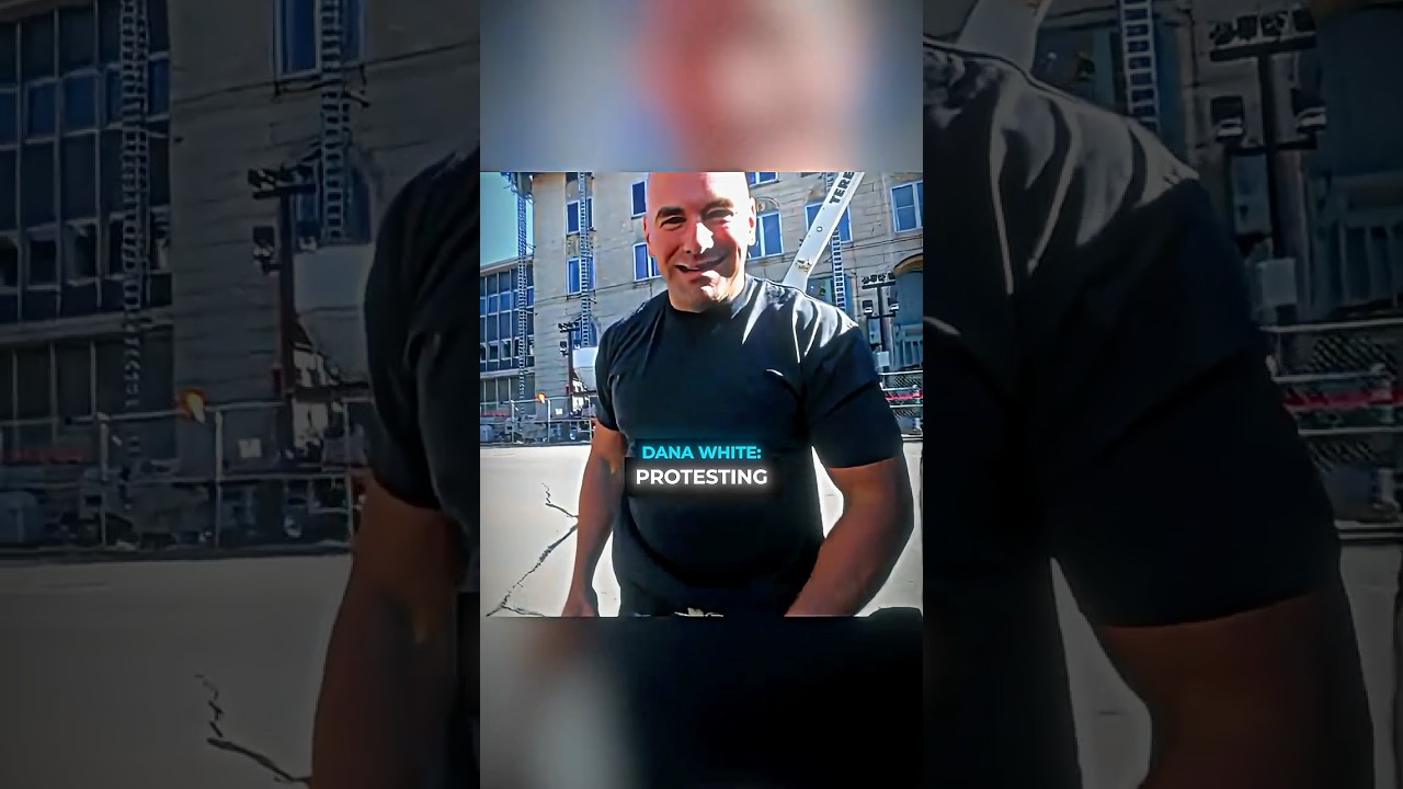 Dana White CONFRONTED These UFC Protesters 😂🤝