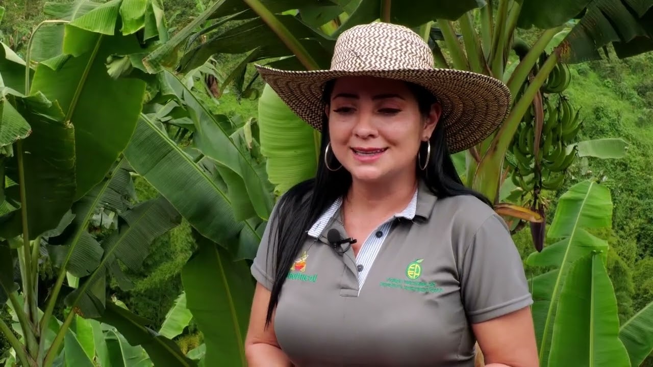 Producciones limpias por medio de la Agricultura tropical - Somos Agricultura Tropical