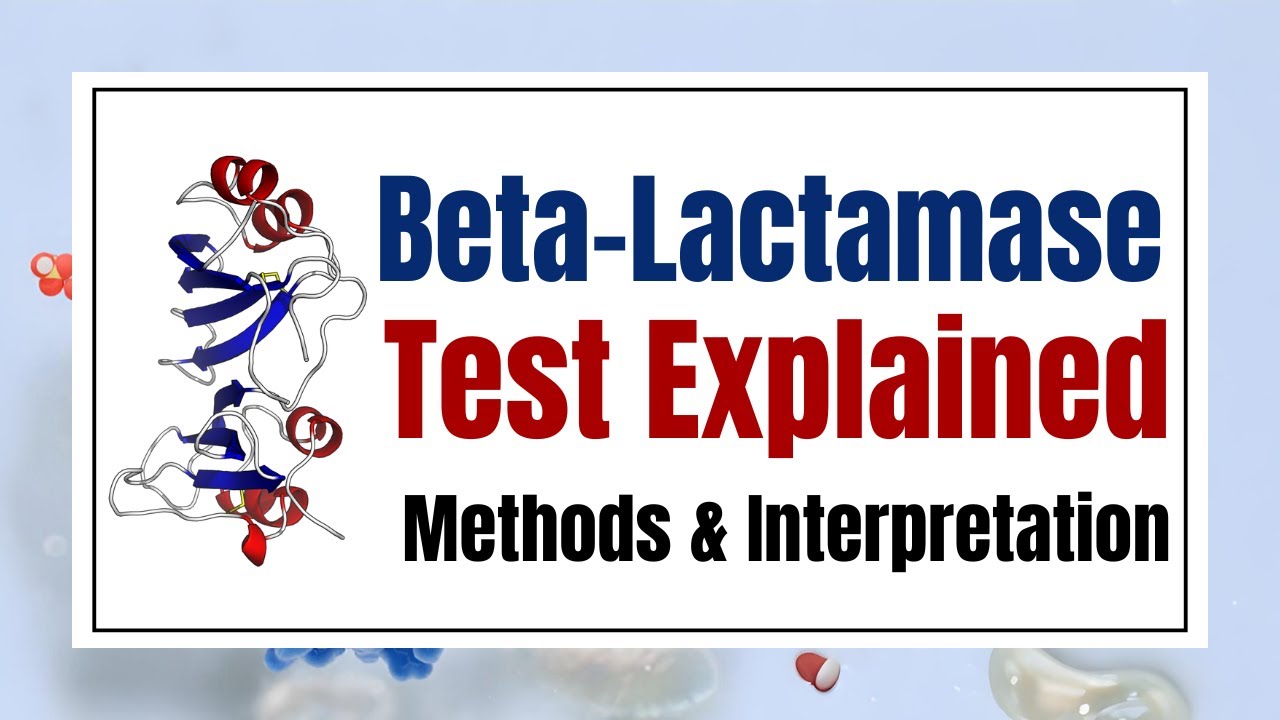 Beta-Lactamase Test Explained: Methods & Interpretation | Induced β-Lactamase Detection