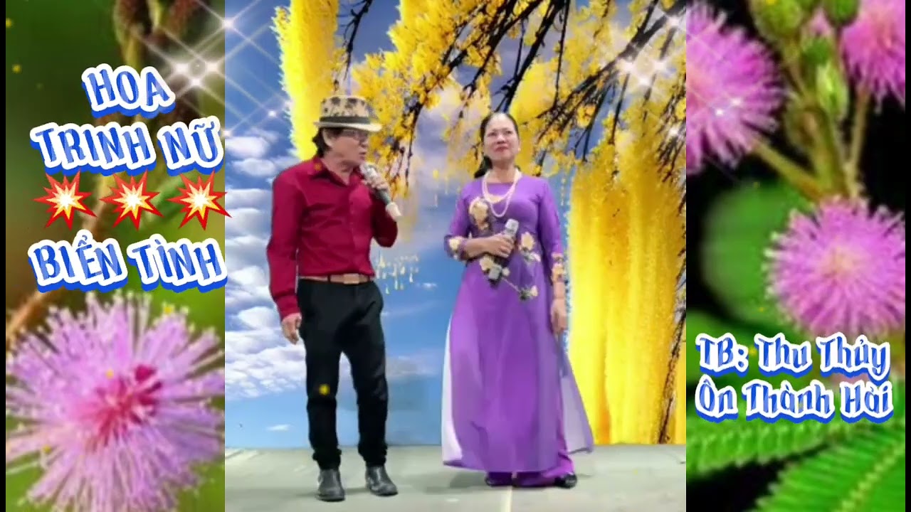 BH: Hoa Trinh Nữ,. Biển Tình.💥💥💥💥