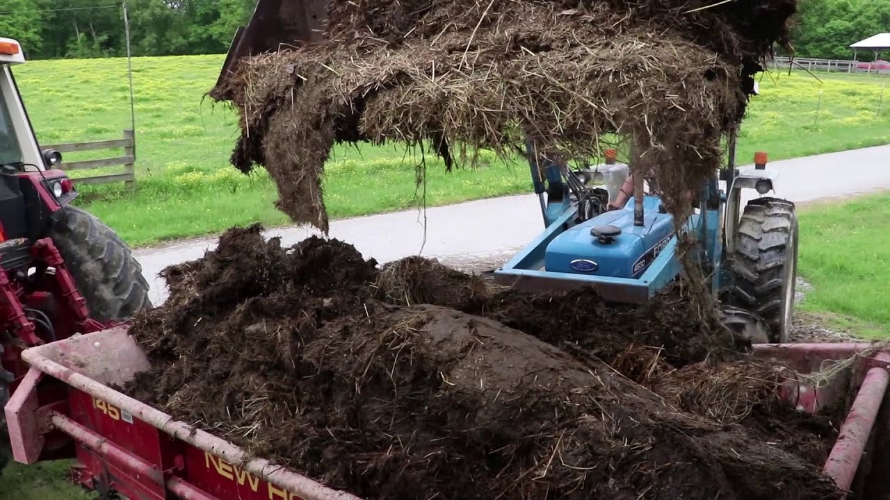 Loading and Hauling Cow Manure